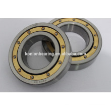 Chrome steel RN series cylindrical roller bearing